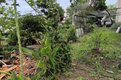Terrain  195000 €
