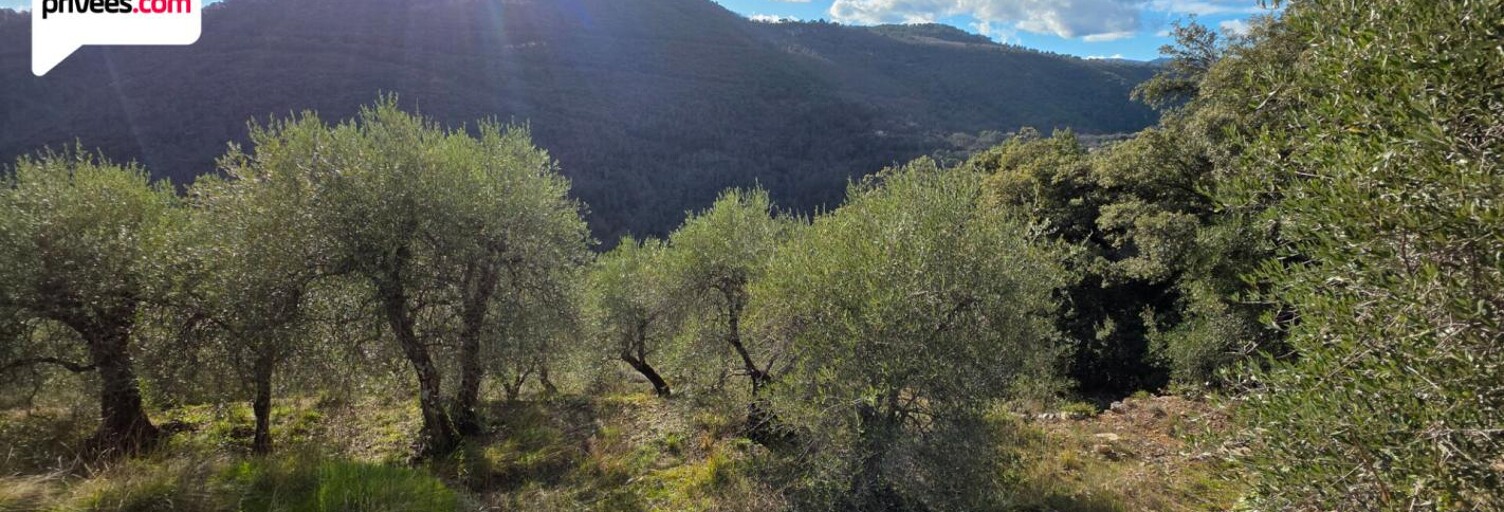 Terrain  16190 m² à vendre à Saint-Cézaire-sur-Siagne (06530)