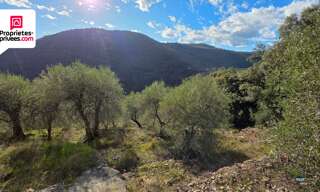 Terrain  16190 m² à vendre à Saint-Cézaire-sur-Siagne (06530)