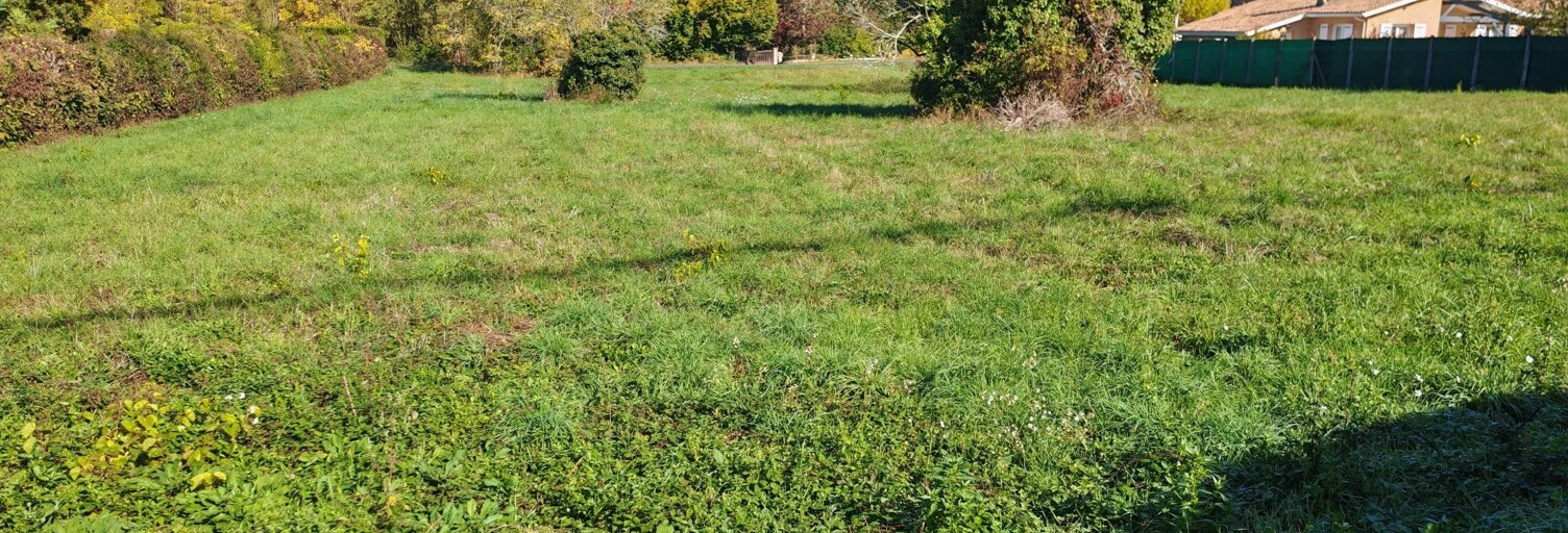 Terrain  2927 m² à vendre à Noaillan (33730)