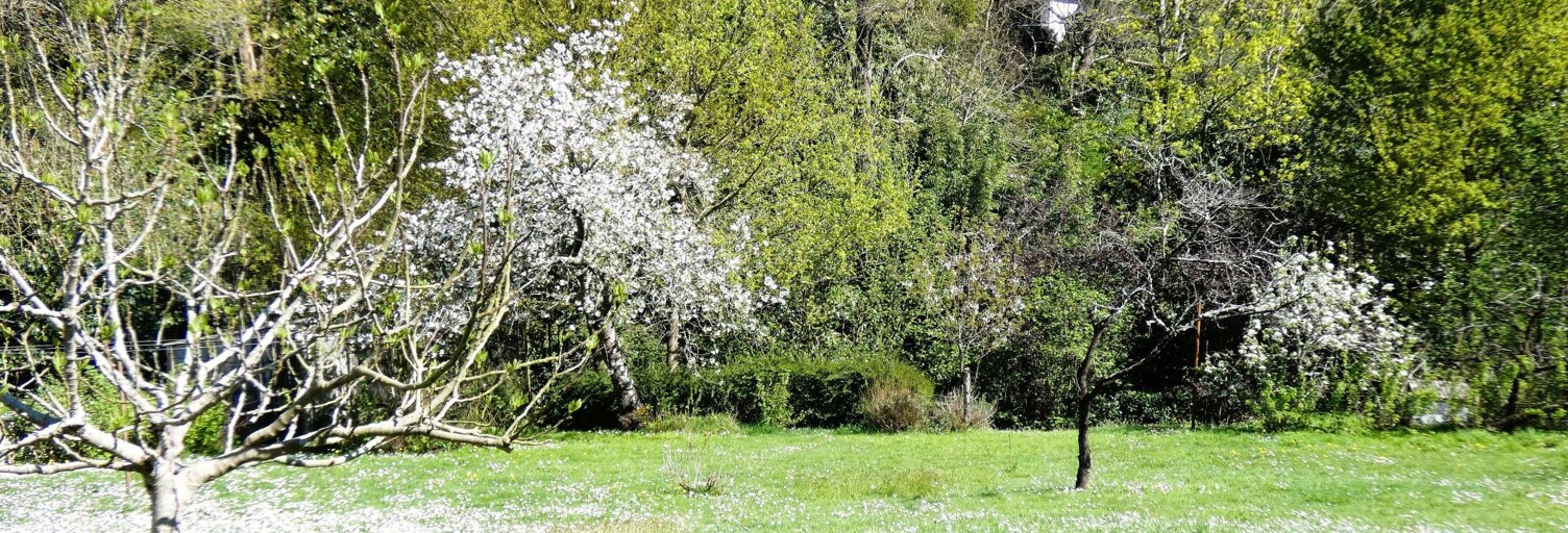 Maison 2 Pièces 40 m² à vendre à Orvault (44700)