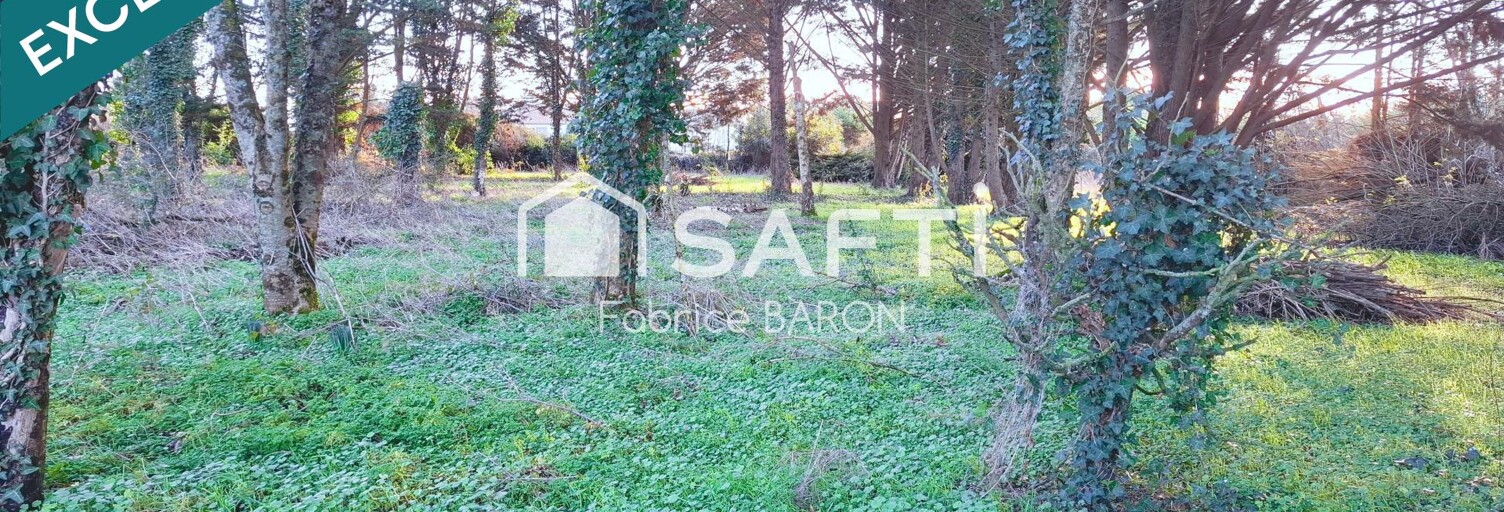 Maison 3 Pièces 80 m² à vendre à Monts-sur-Guesnes (86420)