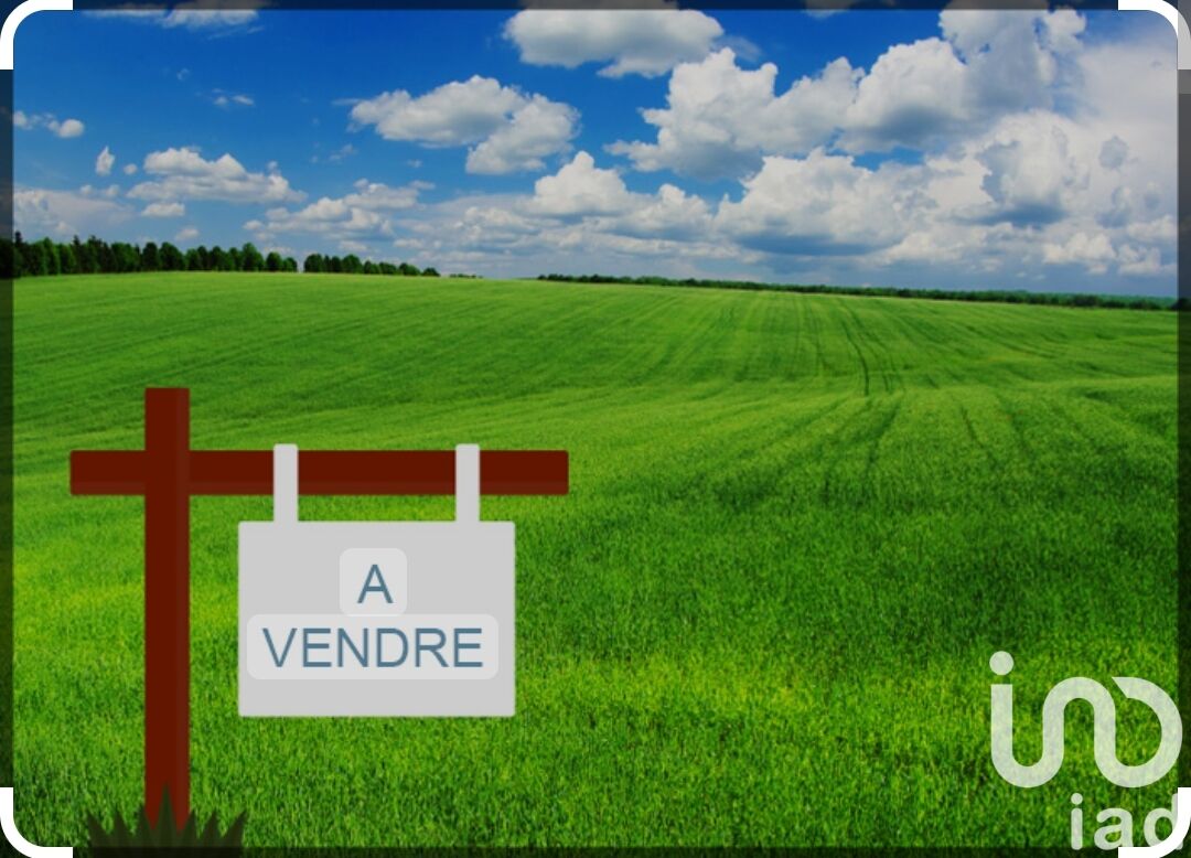 Chalo-Saint-Mars - 914m²