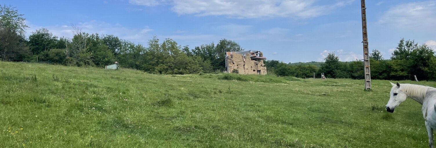 Terrain  86000 m² à vendre à Lescure-d'Albigeois (81380)