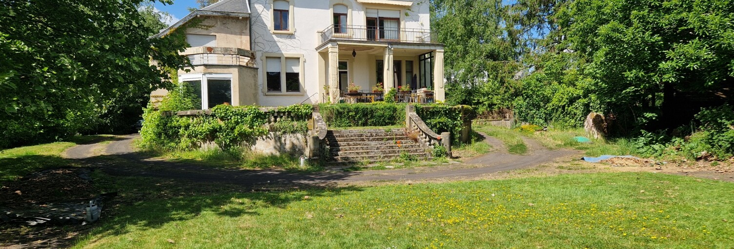 Maison 20 Pièces 315 m² à vendre à Sarreguemines (57200)