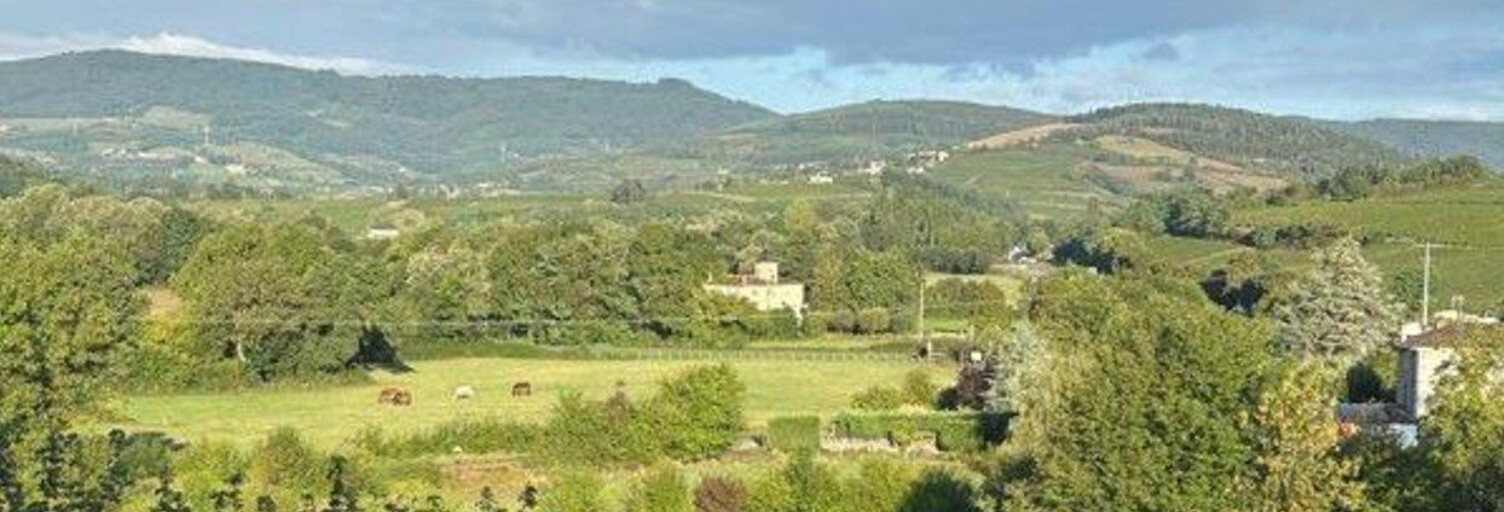 Maison 9 Pièces 290 m² à vendre à Mâcon (71000)