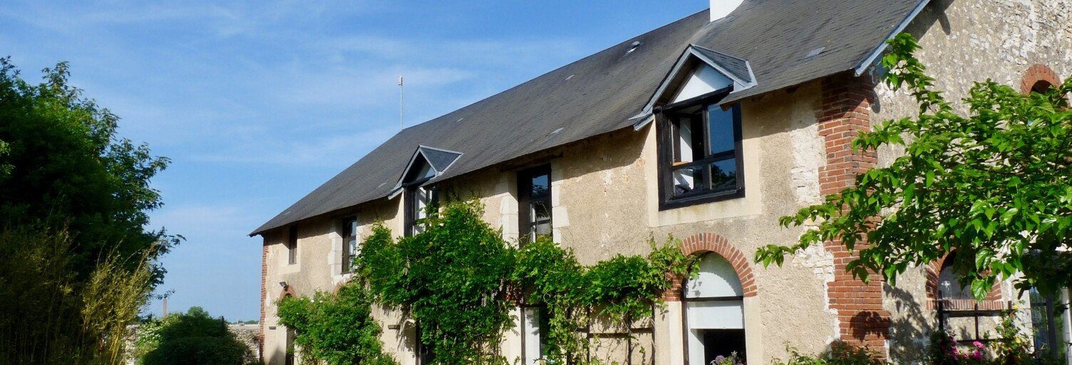 Maison 28 Pièces 660 m² à vendre à Angles-sur-l'Anglin (86260)