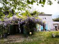 Maison — photo 3