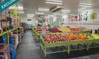 Commerce  500 m² à vendre à Grigny-sur-Rhône (69520)