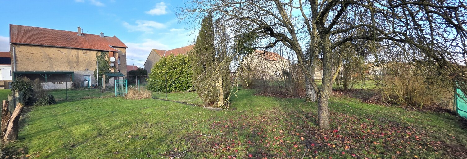 Photo N° 2