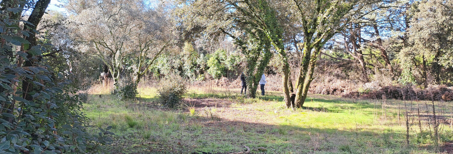 Terrain  1162 m² à vendre à Sommières (30250)