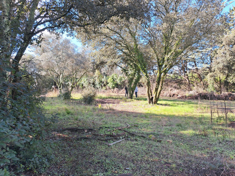 TERRAIN A BATIR VIABILISE — photo 1