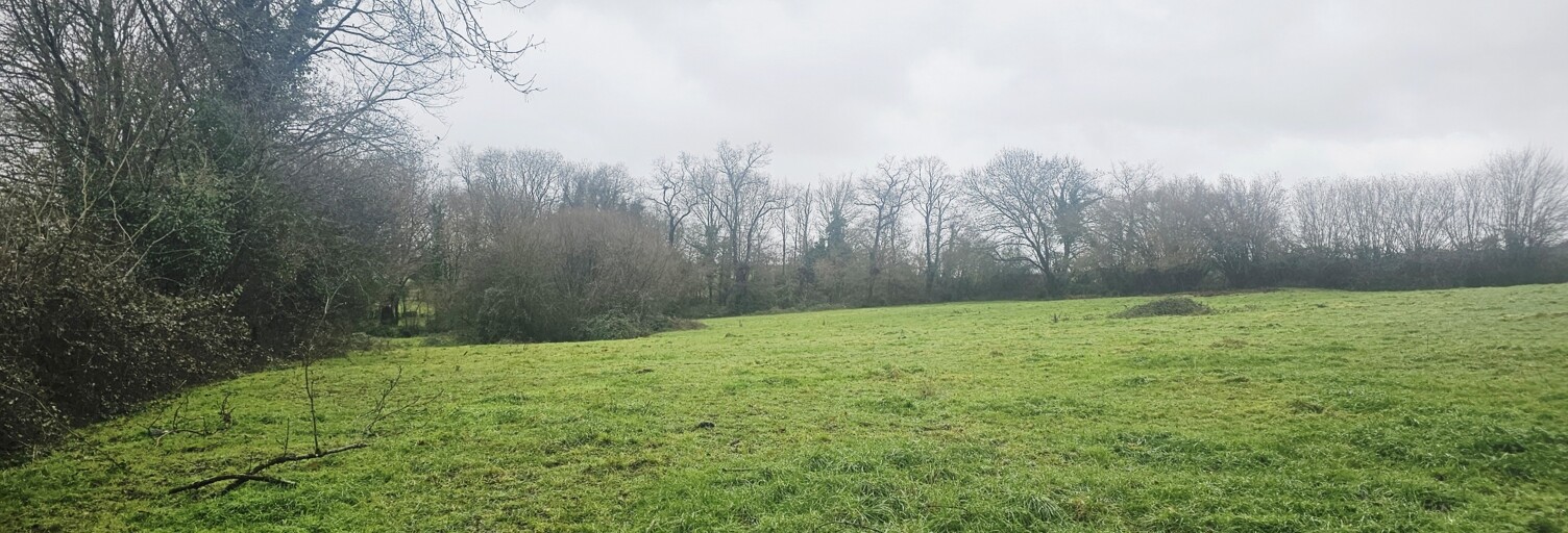 Terrain  5278 m² à vendre à Sèvremoine (49230)