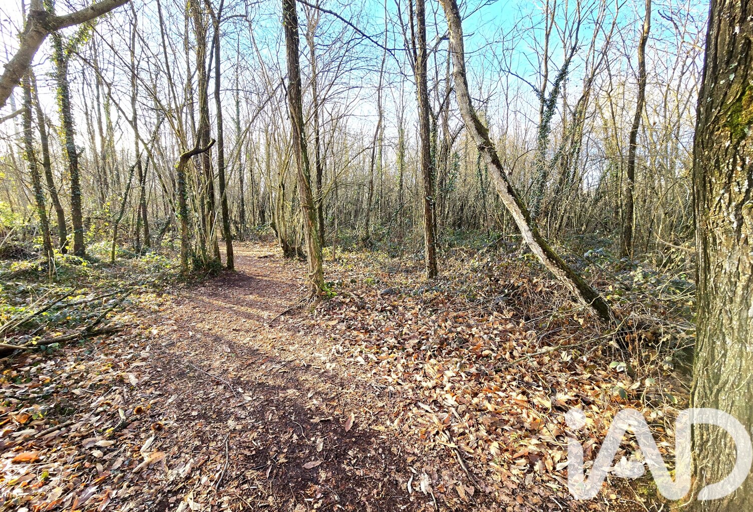 Vente Terrain 22 165 m&sup2; — photo 1