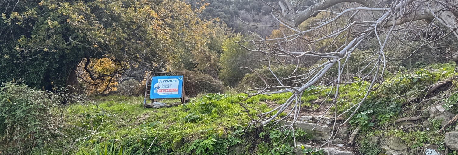 Terrain  842 m² à vendre à Santo-Pietro-di-Tenda (20246)