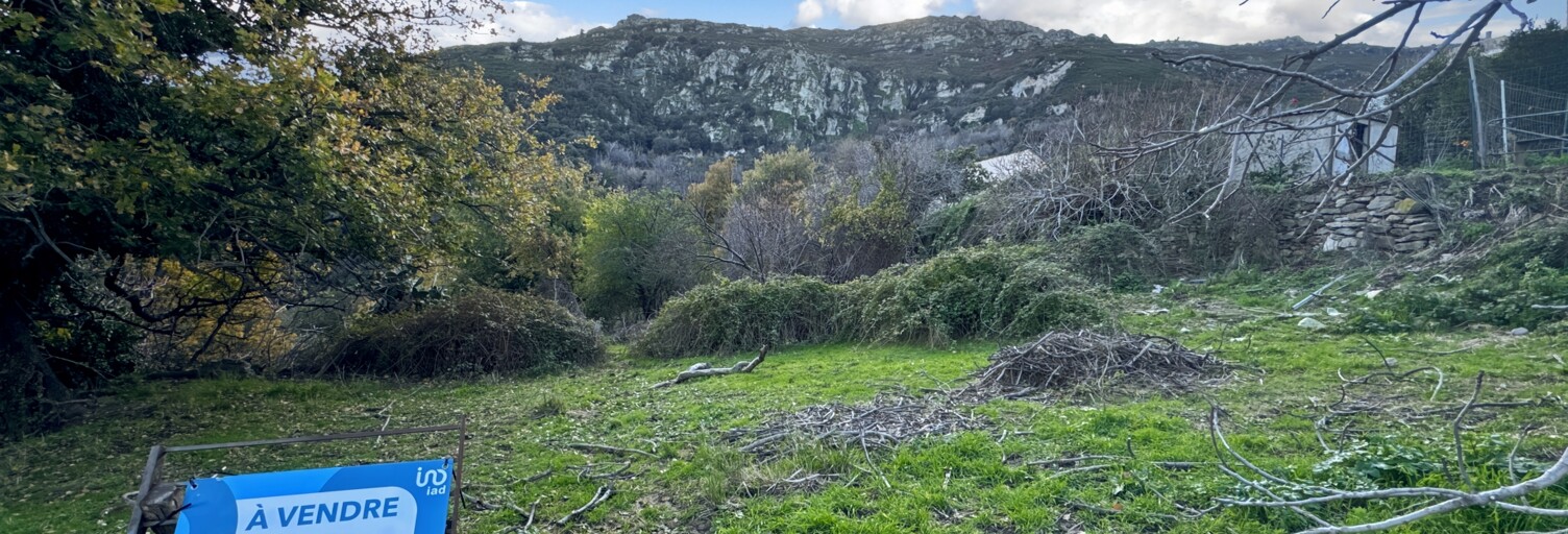 Terrain  842 m² à vendre à Santo-Pietro-di-Tenda (20246)