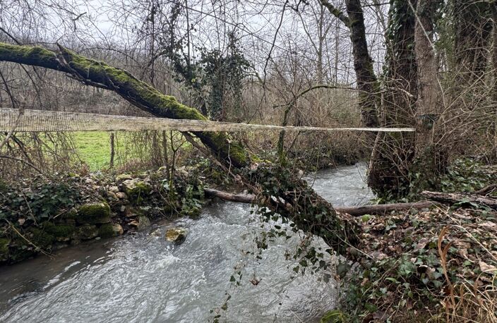 Vente Terrain 2 940 m&sup2; — photo 4