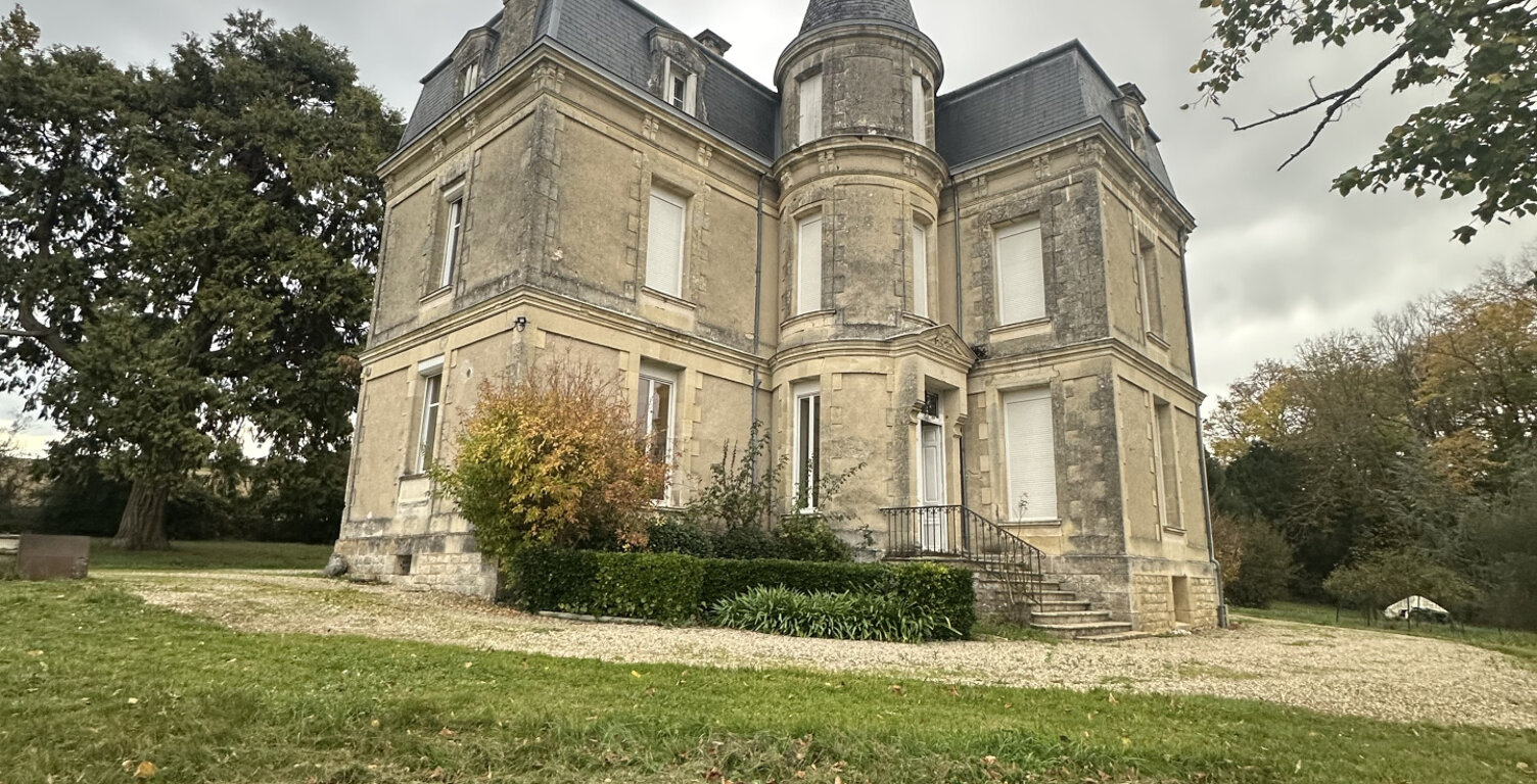 AMATEURS DE LIEUX D’EXCEPTION ? AUX PORTES DE MARMANDE EXCEPTIONNEL CASTEL — photo 1