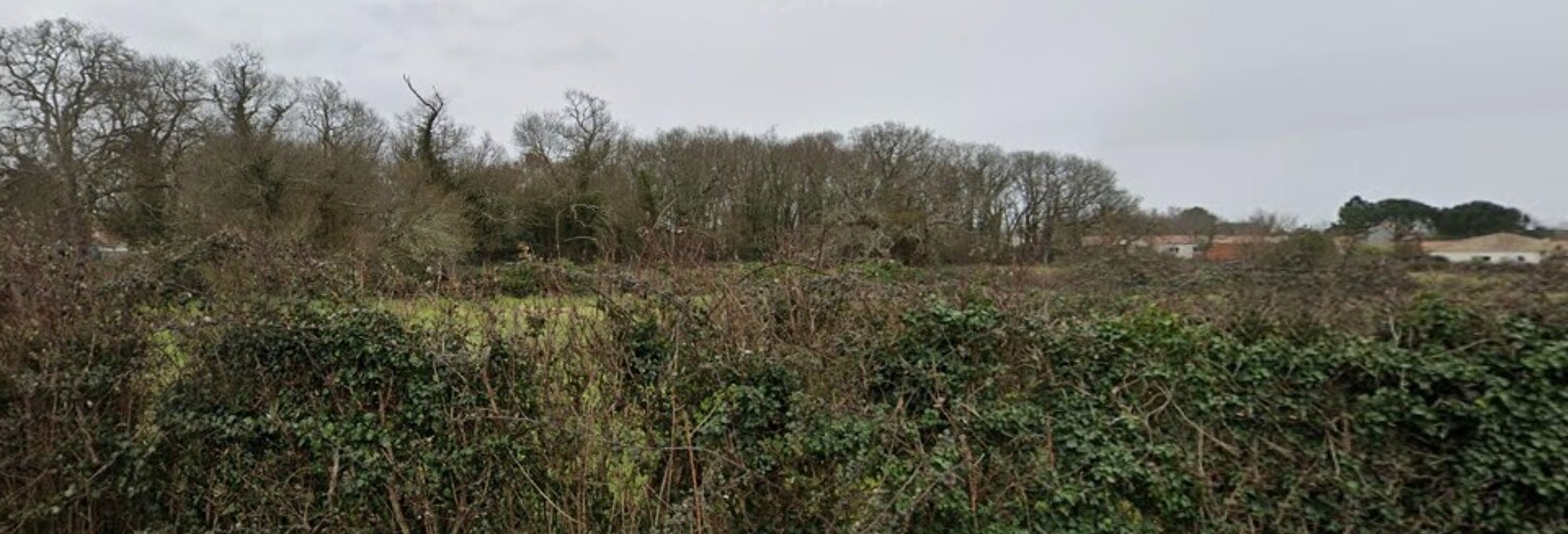 Terrain  500 m² à vendre à Étaules (17750)