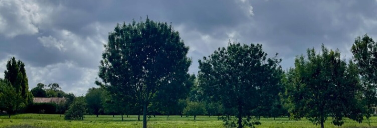 Terrain  359 m² à vendre à Mornac-sur-Seudre (17113)