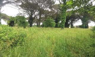 Terrain  702 m² à vendre à Langon (33210)