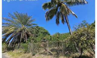 Terrain  1501 m² à vendre à Bouillante (97125)