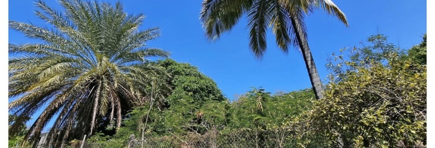 Terrain  1501 m² à vendre à Bouillante (97125)