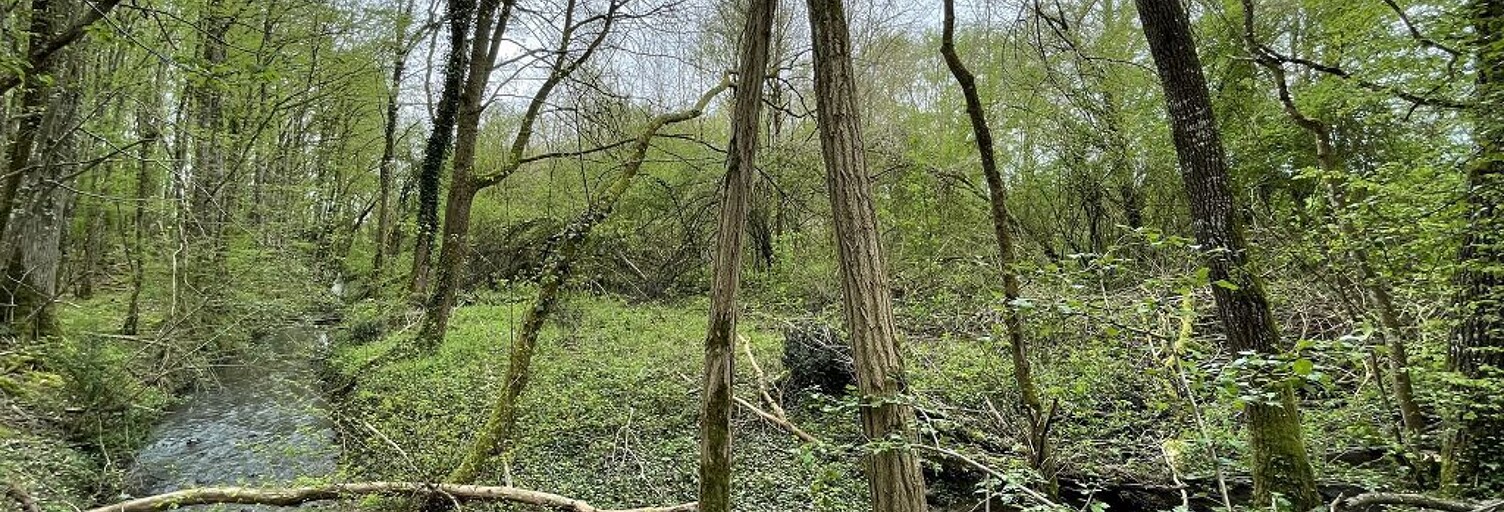 Maison  5440 m² à vendre à Triguères (45220)