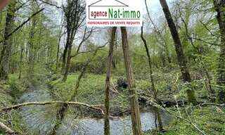 Maison  5440 m² à vendre à Triguères (45220)