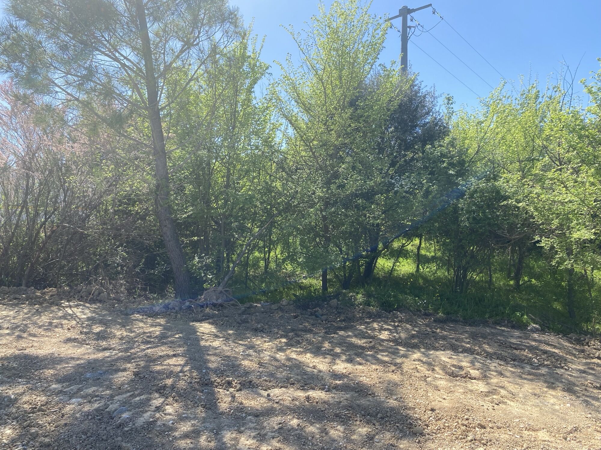 Terrain  à vendre Puy-Sainte-Réparade (Le) 13610