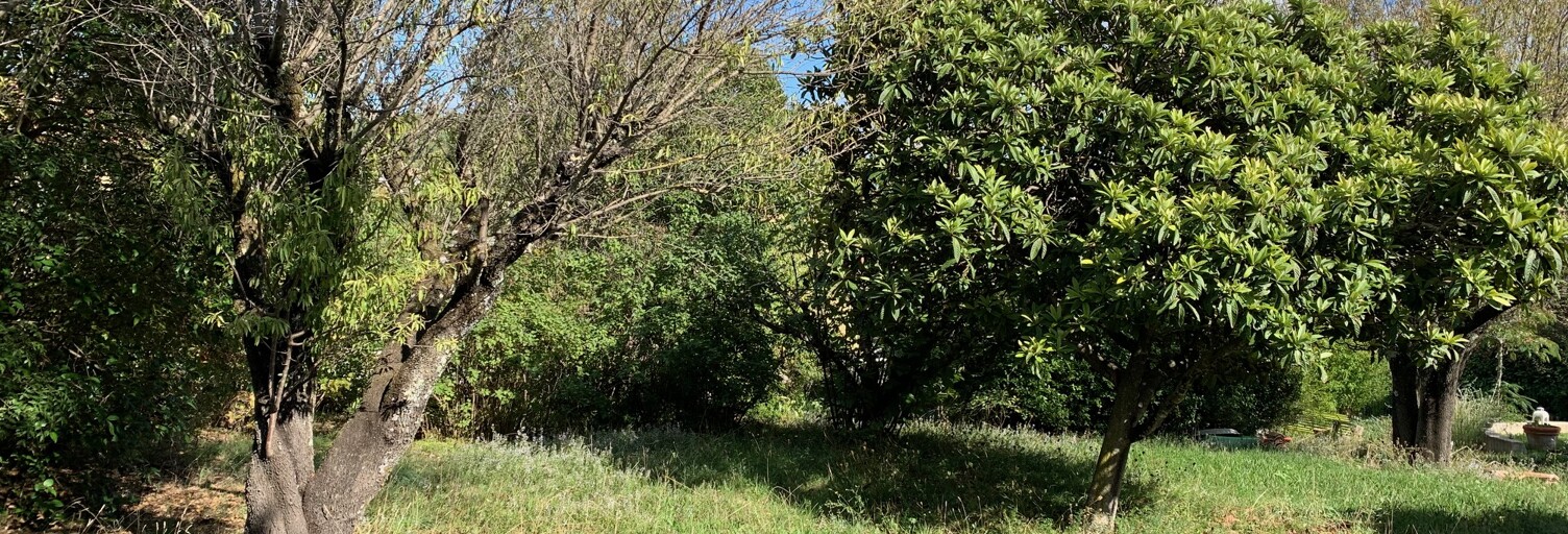 Terrain 1300 m² à construire Carcès (83570)