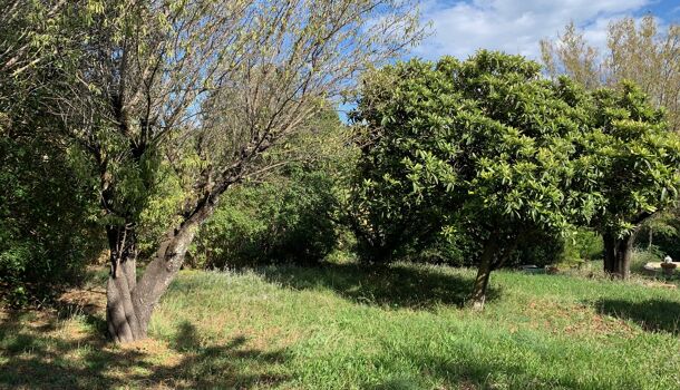 Terrain  à vendre Carcès 83570