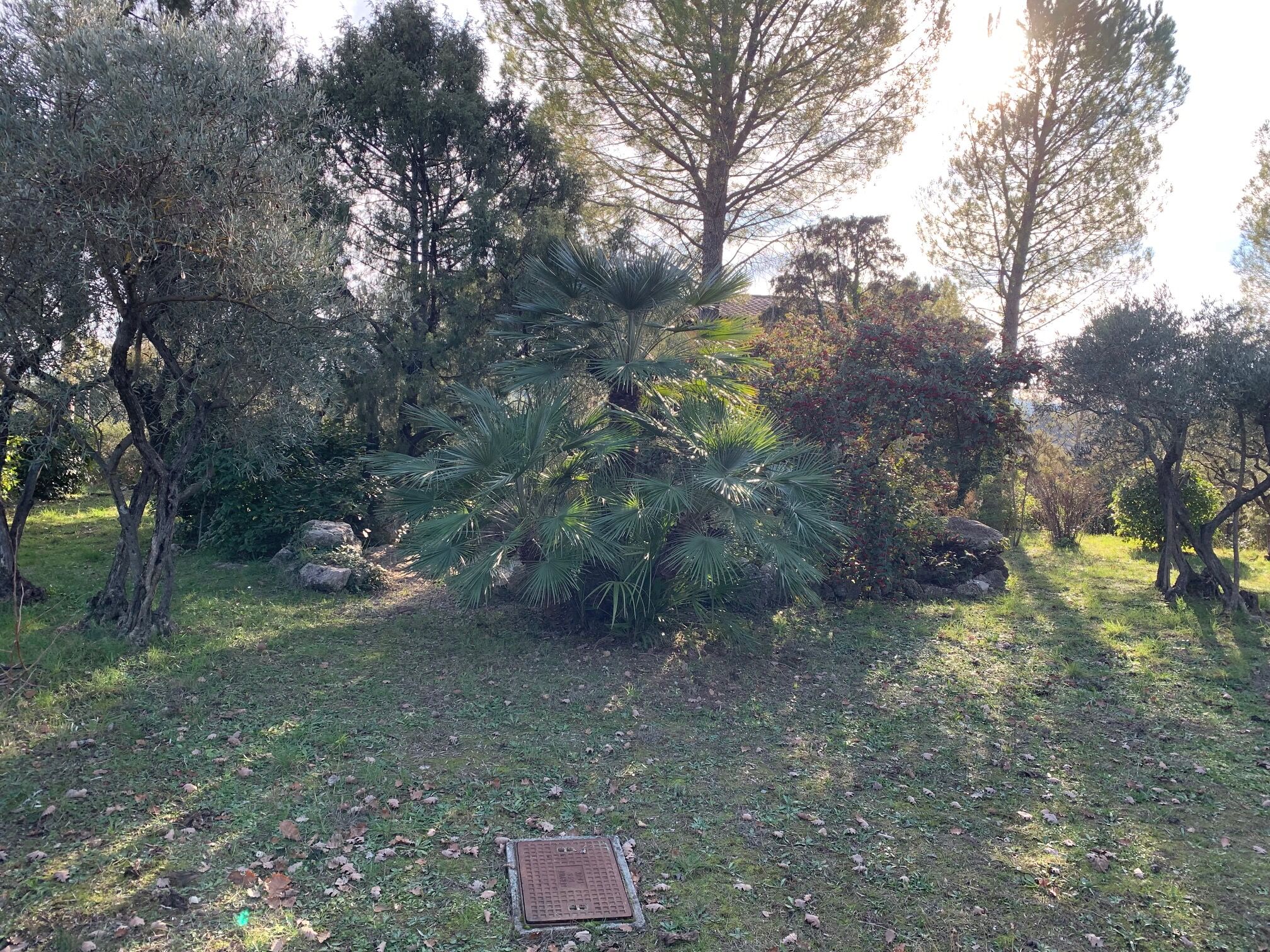 Terrain  à vendre Carcès 83570