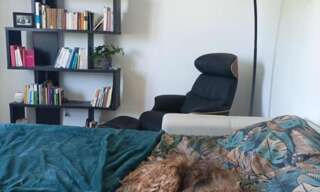 Appartement 1 Pièce 32 m² à louer à Caen (14000)