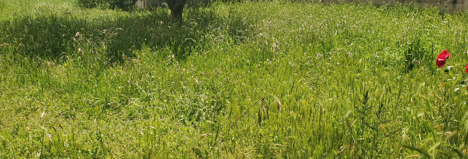 Terrain  587 m² à vendre à Saint-Palais-sur-Mer (17420)