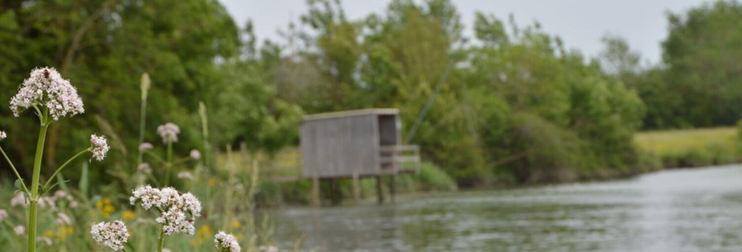 Terrain  773 m² à vendre à Le Mung (17350)