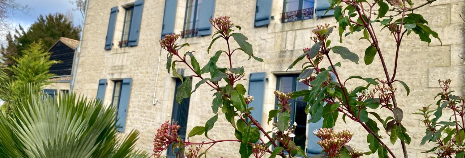 Maison 7 Pièces 233 m² à vendre à Échiré (79410)