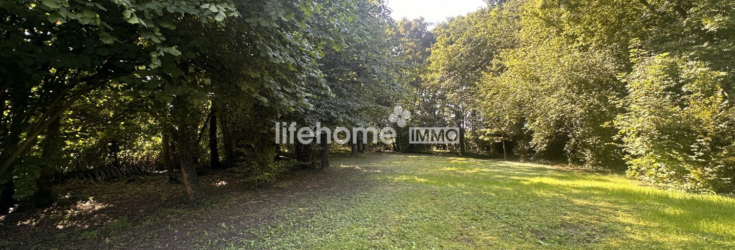 Maison 9 Pièces 248 m² à vendre à Eschau (67114)