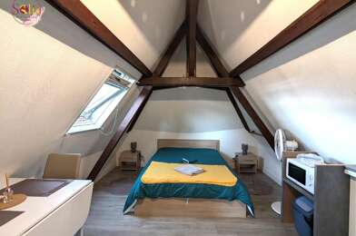 Appartement 1 pièces 350 €