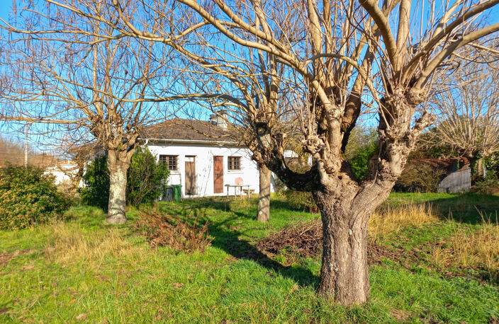 PESSAC Maison des années 1960 sur une parcelle de 1200 m2 en — photo 3