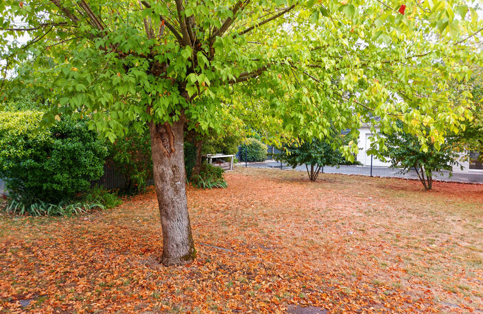 PESSAC Maison des années 1960 sur une parcelle de 1200 m2 en — photo 4