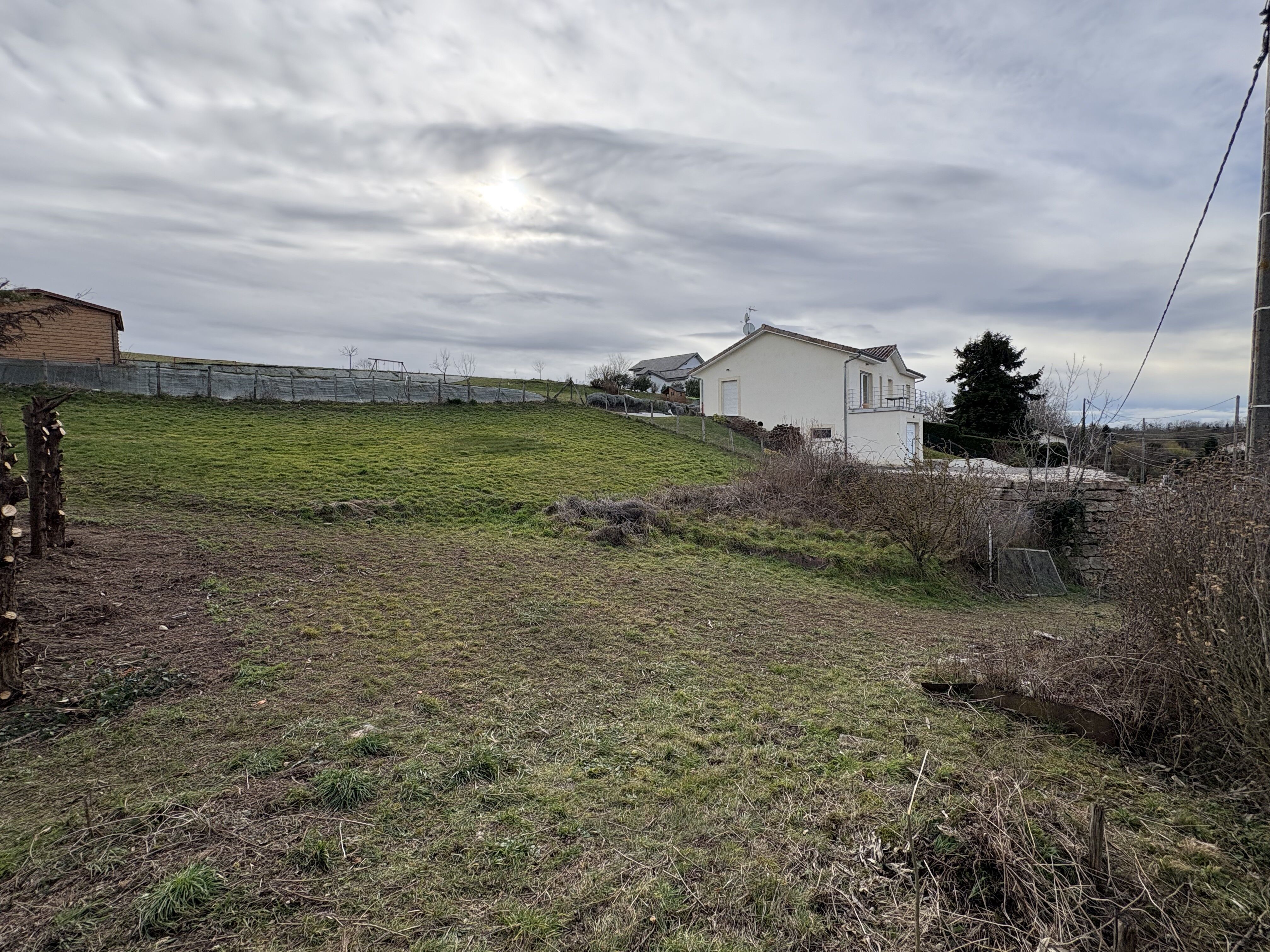 Terrain  à vendre Succieu 38300