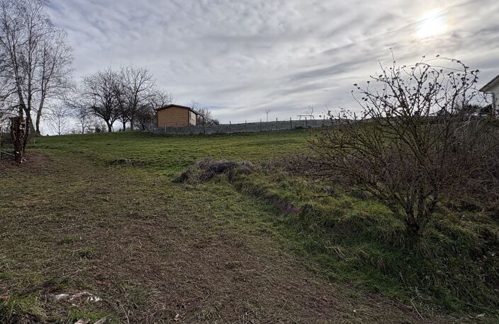 Vente terrain  834 m² Succieu (38300) — photo 3