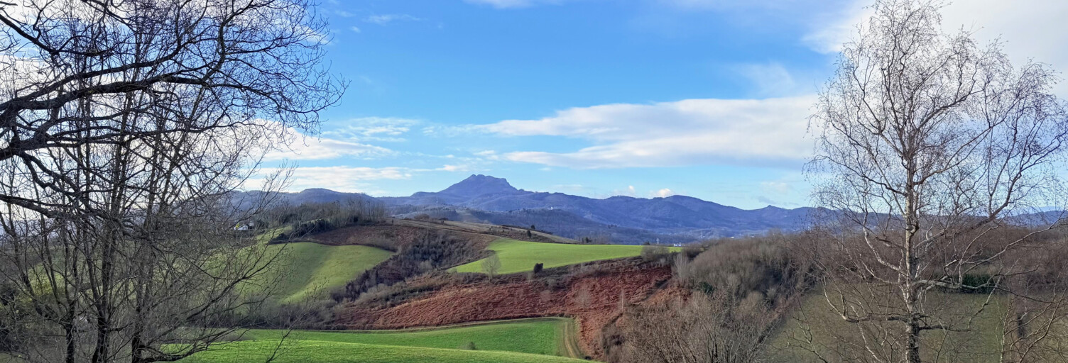 Maison 4 Pièces 81 m² à vendre à Urrugne (64122)