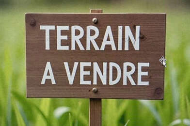 Terrain  55000 €