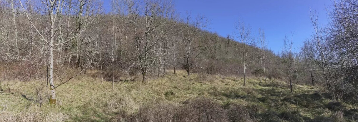 Terrain  36813 m² à vendre à Varen (82330)