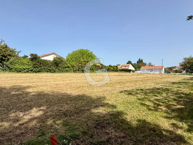 TERRAIN À BATIR- 1000M²- A VENDRE À ANGLES — photo du bien