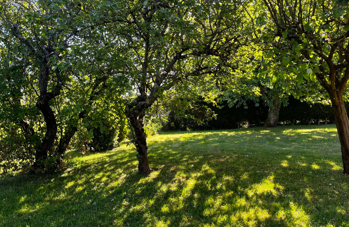 Belle longère — photo 4