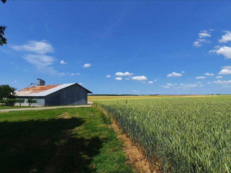 Terrain à construire  2310000 m²  — photo 1