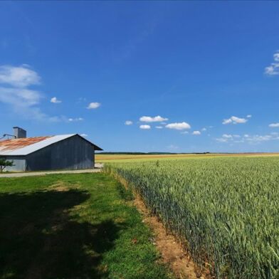 Terrain  3199000 €